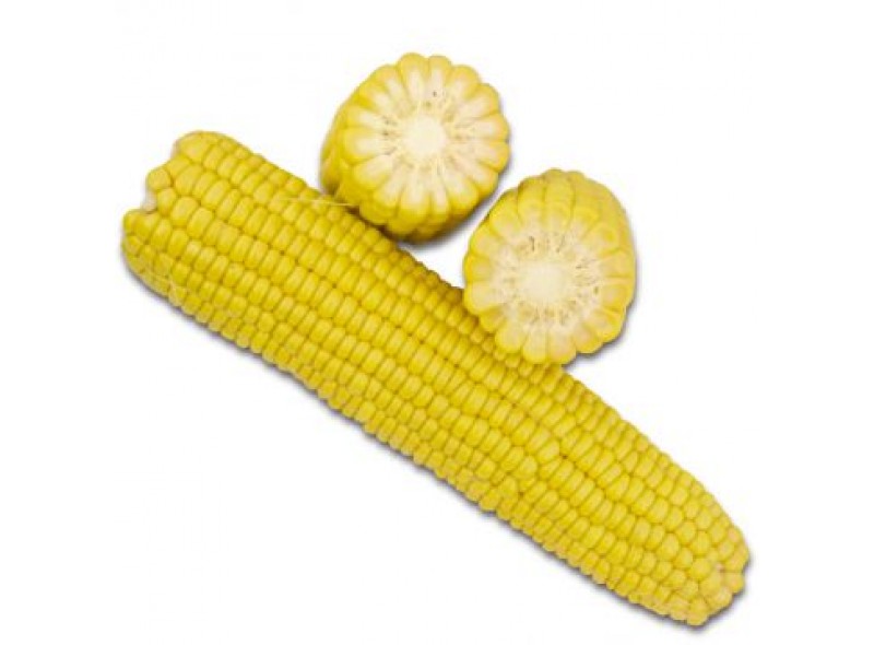 Семена кукурузы сахарной (Sh2 тип) 1805 F1 (75-78дней) кочан 26 см (2500 сем.) Lark Seeds Семена кукурузы сахарной (Sh2 тип) 1805 F1 (75-78дней) кочан 26 см (2500 сем.) Lark Seeds